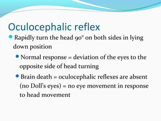 Oculocephalic reflex
Rapidly turn the head 90° on both sides in lying
down position
Normal response = deviation of the eyes to the
opposite side of head turning
Brain death = oculocephalic reflexes are absent
(no Doll’s eyes) = no eye movement in response
to head movement
 