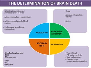 • Time of death
• Fill up the check list
• Date and signature
• Contact organ
procurement organization
• Cerebral angiography
• EEG
• Nuclear scan
• TCD
• CTA
• MRI/MRA
• Coma
• Absence of brainstem
reflexes
• Apnea
• Establish irreversible and
proximate cause of coma
• Achieve normal core temperature
• Achieve normal systolic blood
pressure
• Perform one neurological
examination.
PREREQUISITES
NEUROLOGIC
ASSESSMENT
DOCUMENTATION
ANCILLARY
TESTS
THE DETERMINATION OF BRAIN DEATH
 