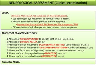 NEUROLOGICAL ASSESSMENT (Clinical examination)
COMA.
PATIENTS MUST LACK ALL EVIDENCE OF RESPONSIVENESS.
• Eye opening or eye movement to noxious stimuli is absent.
• Noxious stimuli should not produce a motor response.
•Supraorbital Pressure/ Nail Bed Pressure/ Pinch trapezius/ TMJ
• Differentiation of spinal responses from retained motor responses
ABSENCE OF BRAINSTEM REFLEXES
Absence of PUPILLARY REFLEX to a bright light {CN- 2,3} . Size >4mm.
Absence of CORNEAL REFLEX. {CN- 5,7}
Absence of ocular movements-OCULOCEPHALIC TESTING( Doll’s eyes) {CN- 3,4,6,8,11}
Absence of ocular movements- OCULOVESTIBULAR TESTING(Cold caloric test) {CN-3,6,8}
Absence of facial muscle(Trigeminal) movement to a noxious stimulus. {CN- 5,7}
Absence of the pharyngeal reflexes (GAG REFLEX) {CN- 9,10}
Absence of the tracheal reflexes (COUGH REFLEX) {CN- 10}
Testing for APNEA
 