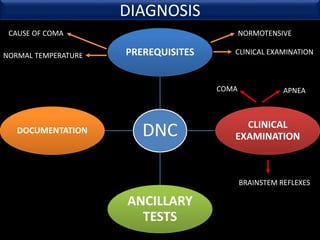DIAGNOSIS
DNC
PREREQUISITES
CLINICAL
EXAMINATION
ANCILLARY
TESTS
DOCUMENTATION
NORMAL TEMPERATURE
CAUSE OF COMA NORMOTENSIVE
CLINICAL EXAMINATION
COMA APNEA
BRAINSTEM REFLEXES
 