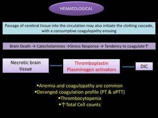 HEMATOLOGICAL
Necrotic brain
tissue
Thromboplastin
Plasminogen activators
DIC
Passage of cerebral tissue into the circulation may also initiate the clotting cascade,
with a consumptive coagulopathy ensuing
Brain Death → Catecholamines →Stress Response → Tendency to coagulate↑
Anemia and coagulopathy are common
Deranged coagulation profile (PT & aPTT)
Thrombocytopenia
↑Total Cell counts
 