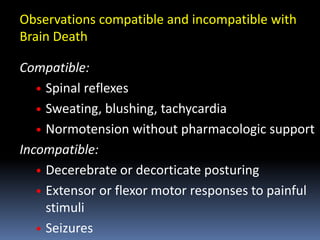 BRAIN DEATH.pptx