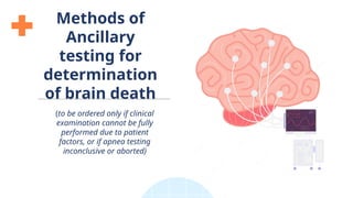 Brain Death Testing Machine Brain Death Anaesthesiology presentation | PPTX