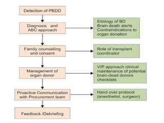 BRAIN DEATH 1_011345.pptx