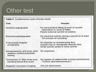 Brain death critiria