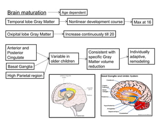 Brain maturation Age dependent
Temporal lobe Gray Matter Nonlinear development course Max at 16
Oxipital lobe Gray Matter Increase continuously till 20
Anterior and
Posterior
Cingulate
Basal Ganglia
High Parietal region
Variable in
older children
Consistent with
specific Gray
Matter volume
reduction
Individually
adaptive,
remodeling
 