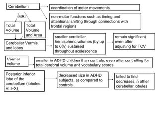 Cerebellum coordination of motor movements
non-motor functions such as timing and
attentional shifting through connections with
frontal regionsTotal
Volume
smaller cerebellar
hemispheric volumes (by up
to 6%) sustained
throughout adolescence
Total
Volume
and Area
Cerebellar Vermis
and lobes
remain significant
even after
adjusting for TCV
Vermal
volume
smaller in ADHD children than controls, even after controlling for
total cerebral volume and vocabulary scores
decreased size in ADHD
subjects, as compared to
controls
failed to find
decreases in other
cerebellar lobules
Posterior inferior
lobe of the
cerebellum (lobules
VIII–X)
MRI
 