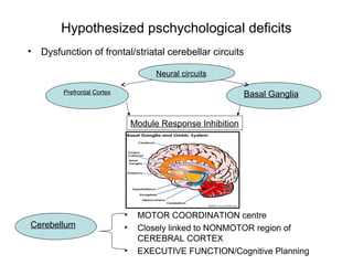 Hypothesized pschychological deficits
• Dysfunction of frontal/striatal cerebellar circuits
Neural circuits
Prefrontal Cortex Basal Ganglia
Cerebellum
• MOTOR COORDINATION centre
• Closely linked to NONMOTOR region of
CEREBRAL CORTEX
• EXECUTIVE FUNCTION/Cognitive Planning
Module Response Inhibition
 