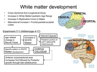 White matter development
• Cross Sectional And Longitudinal Study
• Increase In White Matter>pediatric Age Range
• Increase In Myelination>more In Males
• Maturational Increase > Frontal,parietal,occipital
Lobes
Experiment-111 children(age 4-17)
age related
change in
Neural Tracts
Increase in
WHITE
Matter
Internal Capsule
Posterior portion of
LEFT ARCUATE
FASCICULAS
Specific pattern in WHITE
Matter development
CORPUS
CALLOSUM
Anterior cross/sectional area
increases first followed by Posterior
growth through late adolescence
FRONTAL
PARIETAL
OCCIPITAL
LEFT ARCUATE FASCICULAS
 