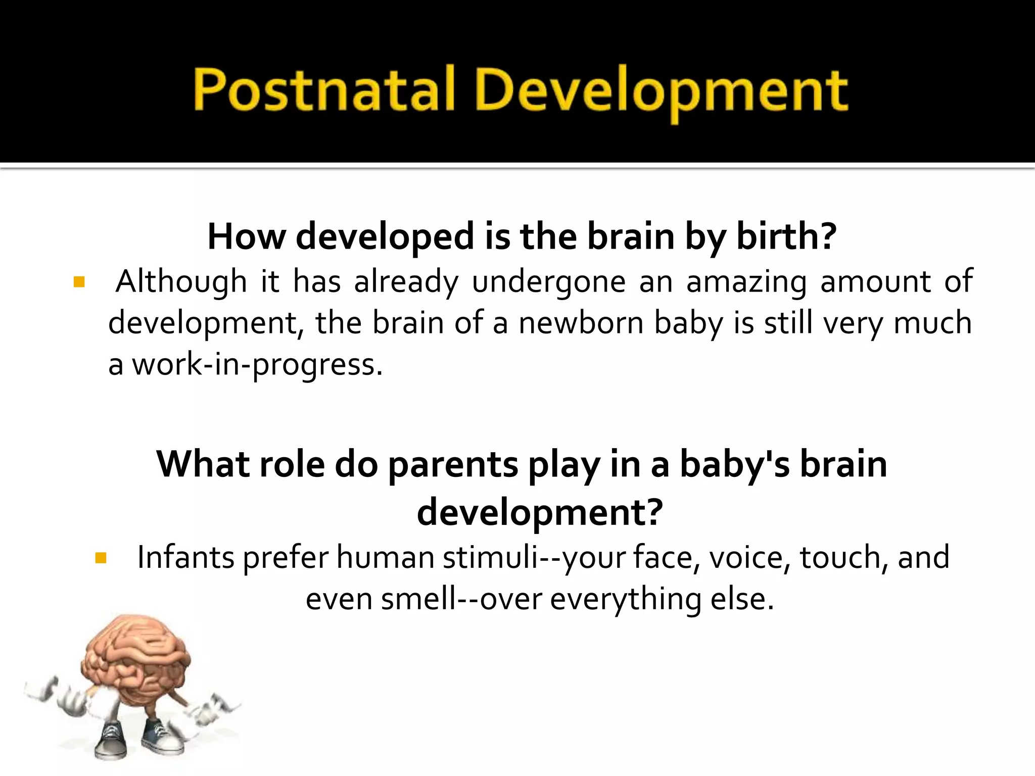 Brain Development | PPTX