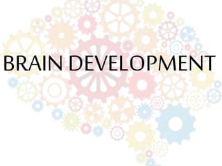 BRAIN DEVELOPMENT
 