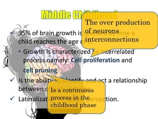  95% of brain growth is reached by time a
child reaches the age of 9.
• Growth is characterized by interrelated
process namely: Cell proliferation and
cell pruning
 Is the ability to identify and act a relationship
between objects in space.
 Lateralization of spatial perception.
The over production
of neurons
interconnections
Is a continuous
process in the
childhood phase
 
