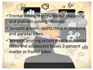 Frontal Lobes, responsible for reasoning
and problem solving, develop.
Synaptic growth spurts most in temporal
and parietal lobes.
Synaptic pruning occurs mostly in frontal
lobes and adolescent losses 3 percent
matter in frontal lobes
 
