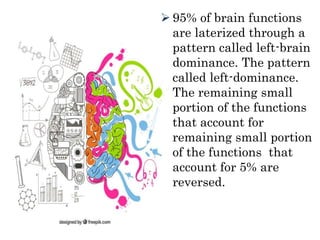  95% of brain functions
are laterized through a
pattern called left-brain
dominance. The pattern
called left-dominance.
The remaining small
portion of the functions
that account for
remaining small portion
of the functions that
account for 5% are
reversed.
 
