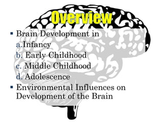  Brain Development in
a.Infancy
b. Early Childhood
c. Middle Childhood
d. Adolescence
 Environmental Influences on
Development of the Brain
 
