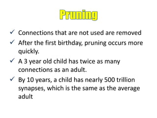  Connections that are not used are removed
 After the first birthday, pruning occurs more
quickly.
 A 3 year old child has twice as many
connections as an adult.
 By 10 years, a child has nearly 500 trillion
synapses, which is the same as the average
adult
 