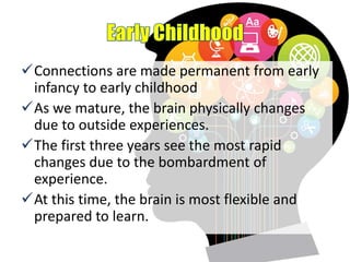 Connections are made permanent from early
infancy to early childhood
As we mature, the brain physically changes
due to outside experiences.
The first three years see the most rapid
changes due to the bombardment of
experience.
At this time, the brain is most flexible and
prepared to learn.
 