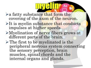 a fatty substance that form the
covering of the axon of the neuron.
It is myelin substance that conducts
impulses at higher speeds
Myelination of nerve fibers grows at
different parts of the brain.
The first to be myelinated is the
peripheral nervous system connecting
the sensory perception, brain
muscles, spinal chords and the
internal organs and glands.
 