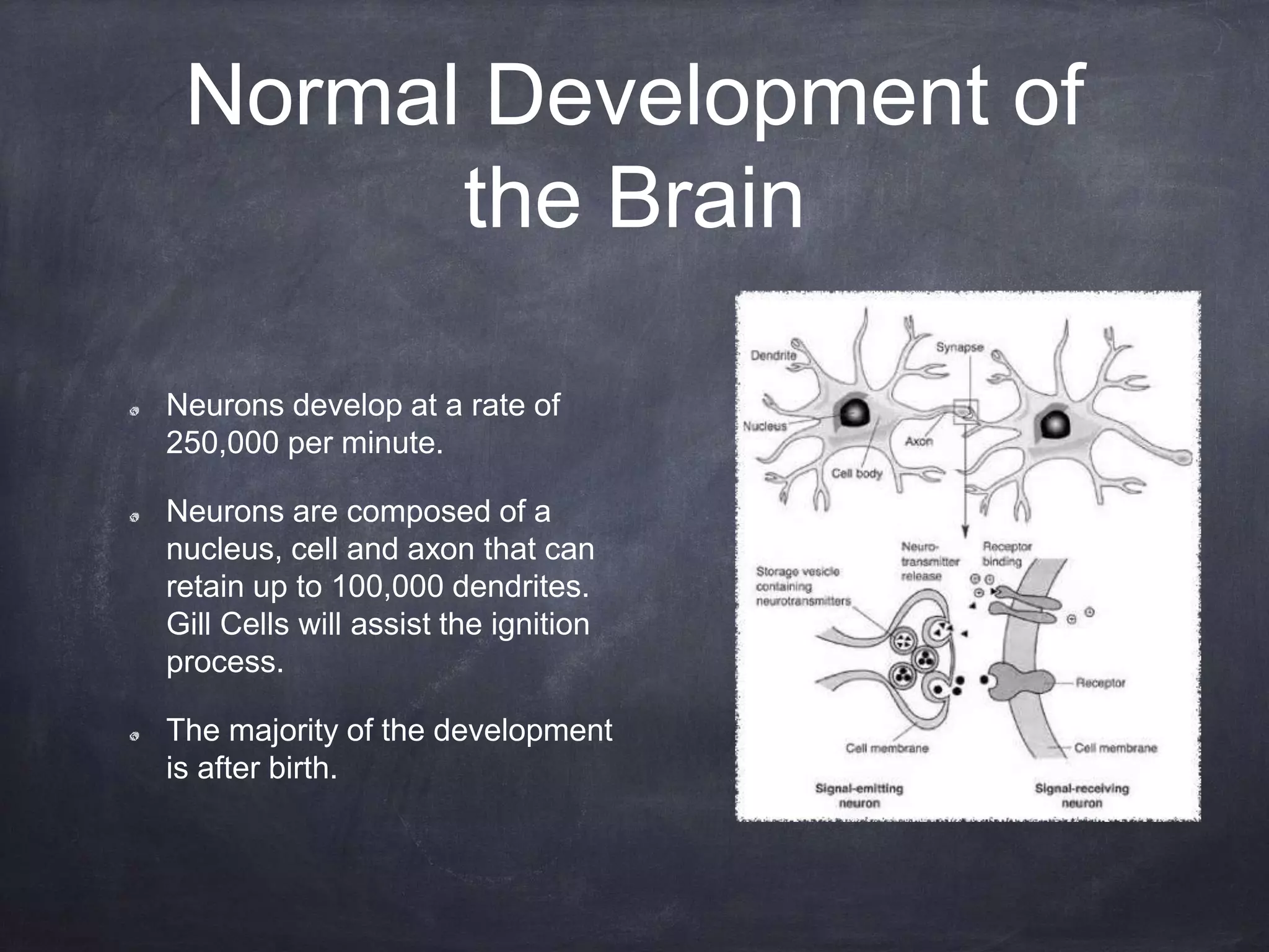 Normal Development of
the Brain
Neurons develop at a rate of
250,000 per minute.
Neurons are composed of a
nucleus, cell and axon that can
retain up to 100,000 dendrites.
Gill Cells will assist the ignition
process.
The majority of the development
is after birth.
 