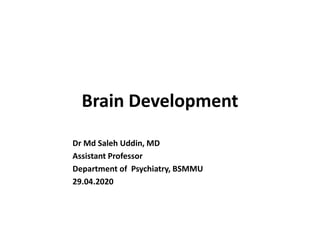 Brain Development
Dr Md Saleh Uddin, MD
Assistant Professor
Department of Psychiatry, BSMMU
29.04.2020
 