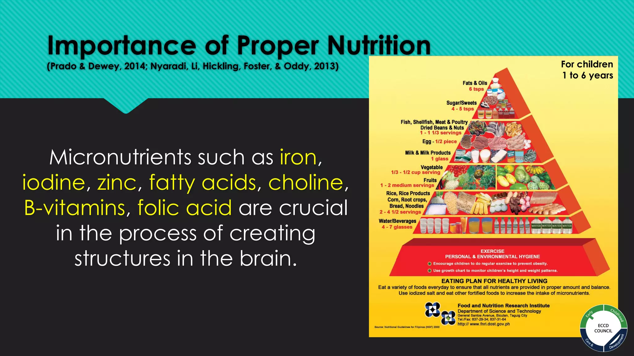 Brain Development.pdf