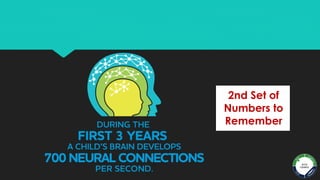 Brain Development.pdf
