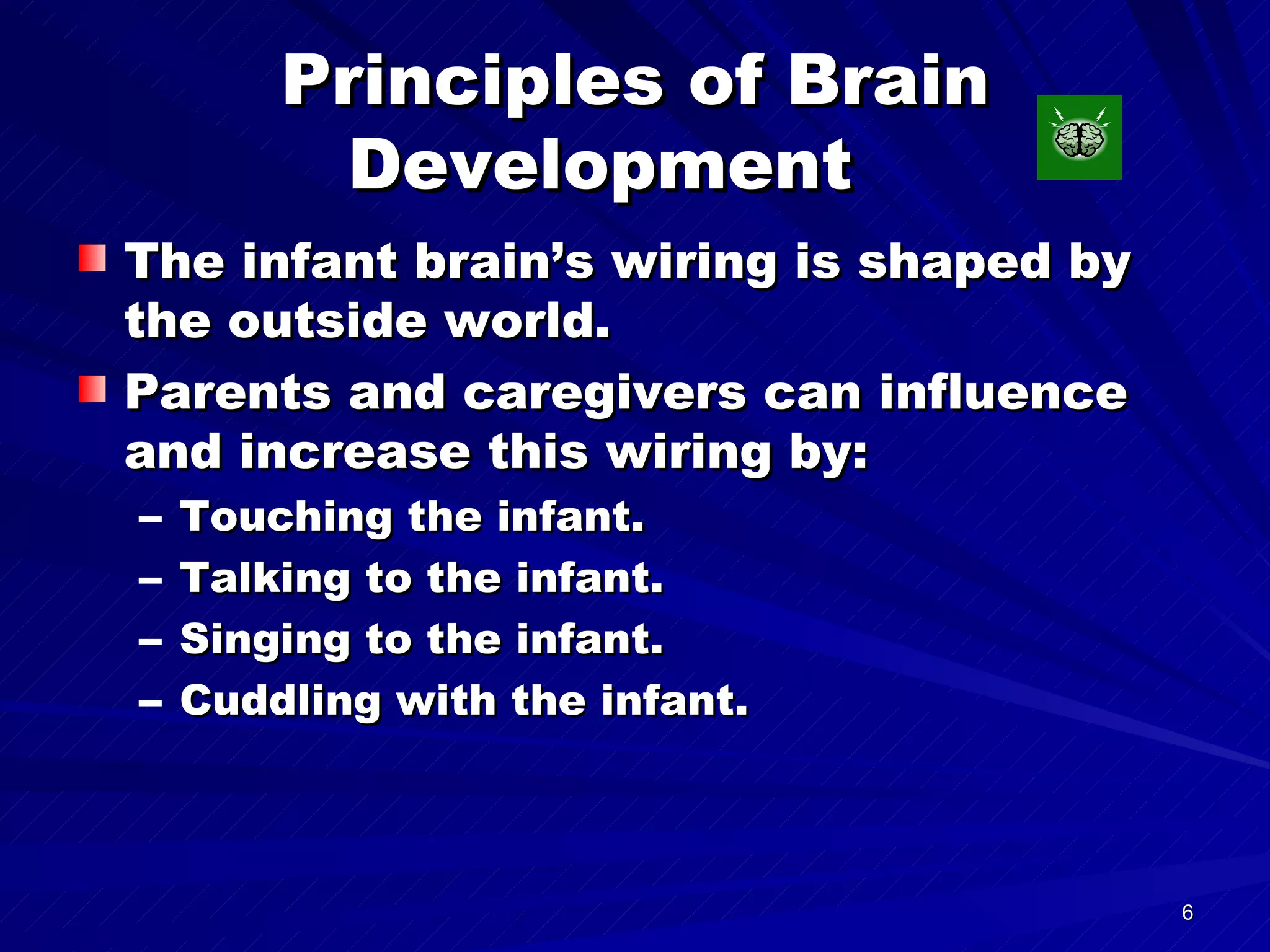 Principles of Brain Development  The infant brain’s wiring is shaped by the outside world. Parents and caregivers can influence and increase this wiring by: Touching the infant. Talking to the infant. Singing to the infant. Cuddling with the infant. 