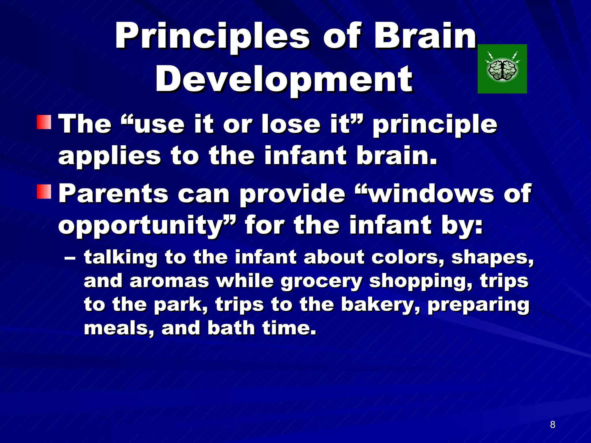 Principles of Brain Development  The “use it or lose it” principle applies to the infant brain.  Parents can provide “windows of opportunity” for the infant by: talking to the infant about colors, shapes, and aromas while grocery shopping, trips to the park, trips to the bakery, preparing meals, and bath time. 
