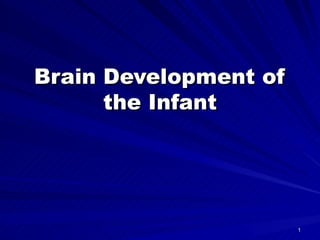 Brain Development of the Infant 