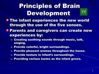 Principles of Brain Development  The infant experiences the new world through the use of the five senses. Parents and caregivers can create new experiences by: Creating soothing sounds through music, talk, singing. Provide colorful, bright surroundings. Provide pleasant aromas throughout the house. Provide texture in infant’s surroundings. Providing various tastes as the infant grows. 