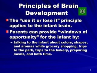 Principles of Brain Development  The “use it or lose it” principle applies to the infant brain.  Parents can provide “windows of opportunity” for the infant by: talking to the infant about colors, shapes, and aromas while grocery shopping, trips to the park, trips to the bakery, preparing meals, and bath time. 
