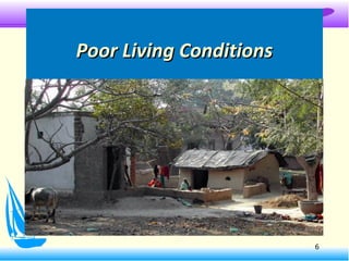 Poor Living ConditionsPoor Living Conditions
6
 