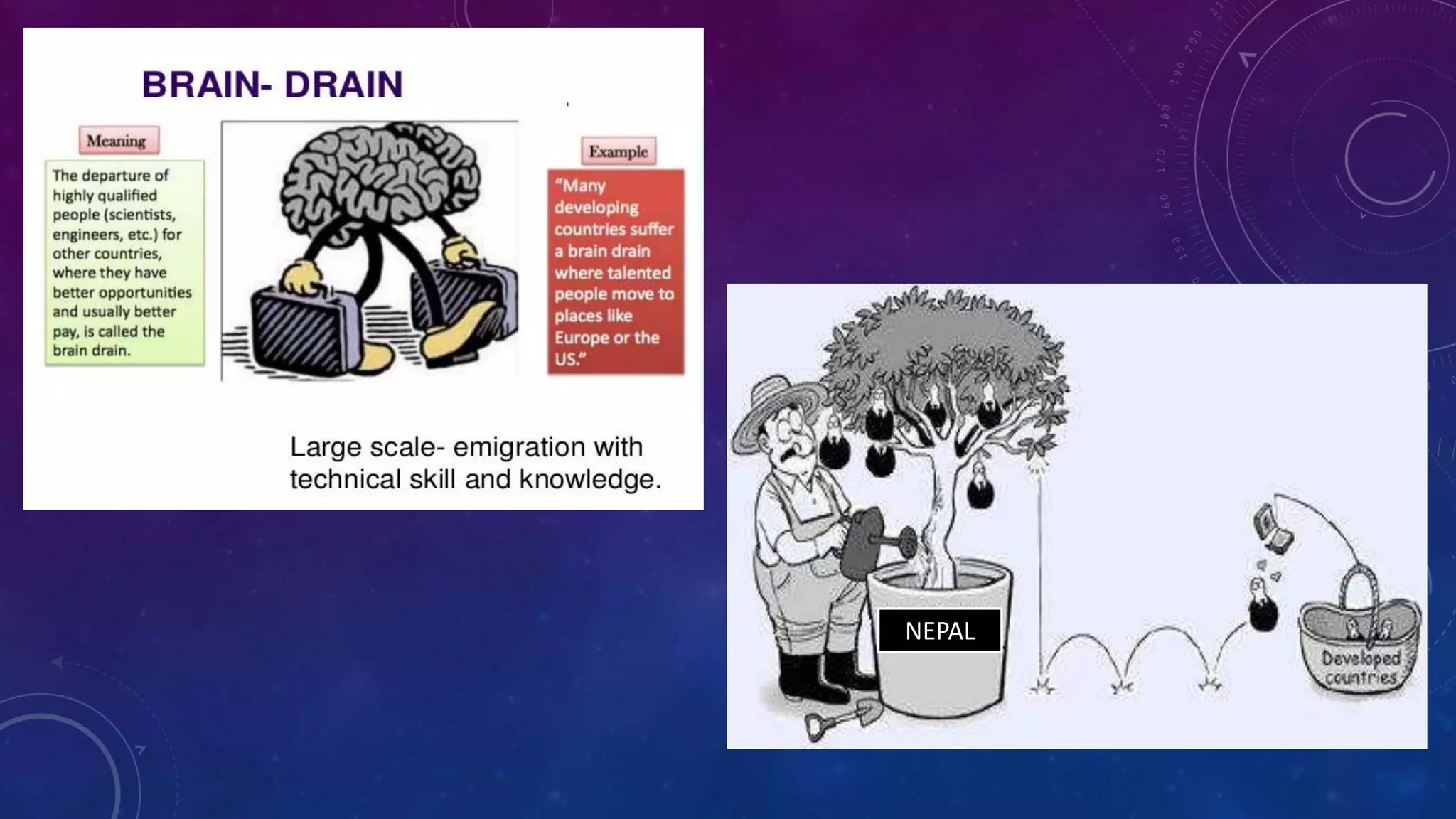 Brain drain | PPTX