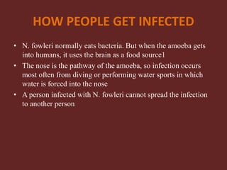 HOW PEOPLE GET INFECTED
• N. fowleri normally eats bacteria. But when the amoeba gets
into humans, it uses the brain as a food source1
• The nose is the pathway of the amoeba, so infection occurs
most often from diving or performing water sports in which
water is forced into the nose
• A person infected with N. fowleri cannot spread the infection
to another person
 