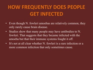 HOW FREQUENTLY DOES PEOPLE
GET INFECTED
• Even though N. fowleri amoebas are relatively common, they
only rarely cause brain disease.
• Studies show that many people may have antibodies to N.
fowleri. That suggests that they became infected with the
amoeba but that their immune systems fought it off.
• It's not at all clear whether N. fowleri is a rare infection or a
more common infection that only sometimes cause.
 