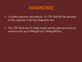 DIAGNOSES
• A lumbar puncture and analysis of CSF fluid for the presence
of this organism is the best diagnostic test.
• The CSF fluid may be slight cloudy and the glucose levels are
normal to low up to 80mg/dl (or) <40mg/dl(low).
 