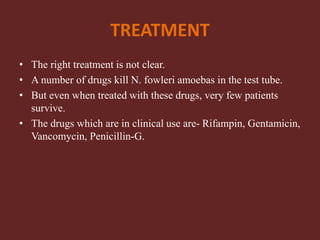 TREATMENT
• The right treatment is not clear.
• A number of drugs kill N. fowleri amoebas in the test tube.
• But even when treated with these drugs, very few patients
survive.
• The drugs which are in clinical use are- Rifampin, Gentamicin,
Vancomycin, Penicillin-G.
 