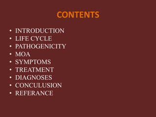 CONTENTS
• INTRODUCTION
• LIFE CYCLE
• PATHOGENICITY
• MOA
• SYMPTOMS
• TREATMENT
• DIAGNOSES
• CONCULUSION
• REFERANCE
 