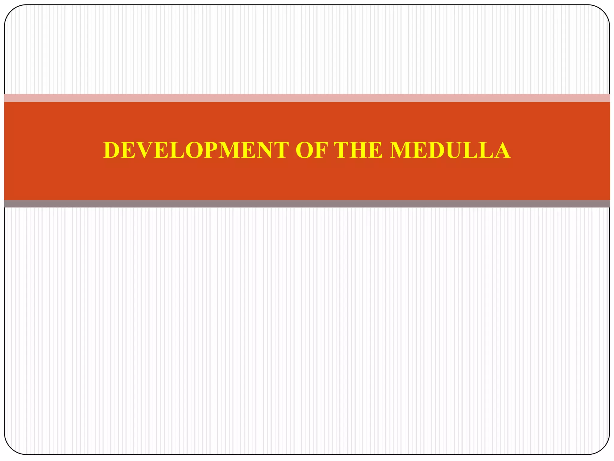 DEVELOPMENT OF THE MEDULLA