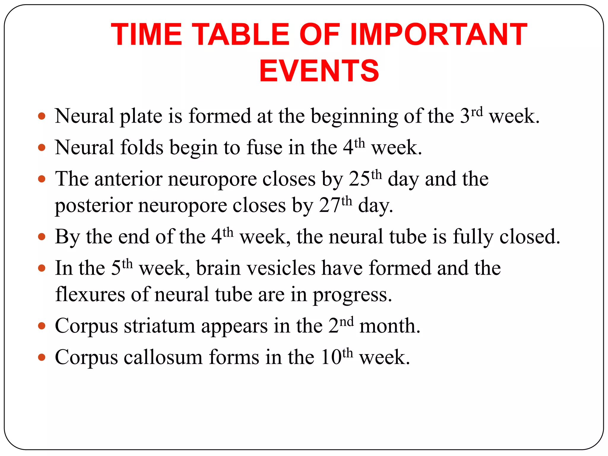 DEVELOPMENT OF CEREBRAL HEMISPHERE