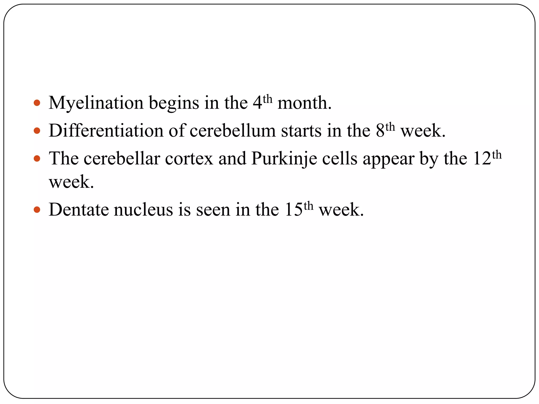 CEREBRAL HEMISPHERE&LATERAL VENTRICLE