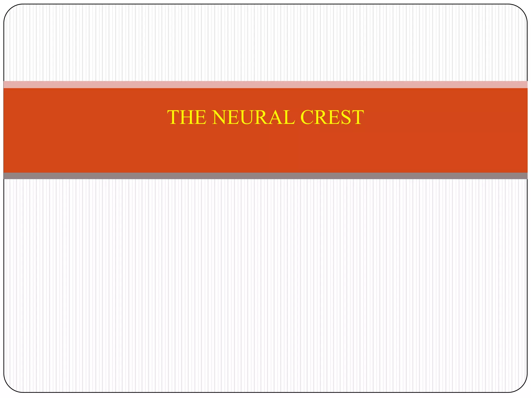 THE NEURAL CREST