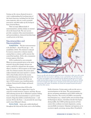 9Society for NeuroScieNce introduction to the brain | BraiN factS
Neurons are cells within the nervous system that transmit information to other nerve cells, muscle,
or gland cells. Most neurons have a cell body, an axon, and dendrites. The cell body contains
the nucleus and cytoplasm. The axon extends from the cell body and often gives rise to many
smaller branches before ending at nerve terminals. Dendrites extend from the neuron cell body
and receive messages from other neurons. Synapses are the contact points where one neuron
communicates with another. The dendrites are covered with synapses formed by the ends of
axons from other neurons.
Sorting out the various chemical circuits is
vital to understanding the broad spectrum of
the brain’s functions, including how the brain
stores memories, why sex is such a powerful
motivation, and what makes up the biological
basis of mental illness.
There are many different kinds of
neurotransmitters, and they all play an essential
role in the human body. The next section
provides a summary of key neurotransmitters
and neuromodulators, chemicals that help shape
overall activity in the brain.
Neurotransmitters and
Neuromodulators
Acetylcholine The first neurotransmitter
to be identified — about 80 years ago — was
acetylcholine (ACh). This chemical is released
by neurons connected to voluntary muscles,
causing them to contract, and by neurons that
control the heartbeat. ACh is also a transmitter
in many regions of the brain.
ACh is synthesized in axon terminals.
When an action potential arrives at the nerve
terminal, electrically charged calcium ions
rush in, and ACh is released into the synapse,
where it attaches to ACh receptors on the target
cells. On voluntary muscles, this action opens
sodium channels and causes muscles to contract.
ACh is then broken down by the enzyme
acetylcholinesterase and resynthesized in the
nerve terminal. Antibodies that block one
type of ACh receptor cause myasthenia gravis,
a disease characterized by fatigue and muscle
weakness.
Much less is known about ACh in the
brain. Recent discoveries suggest that it may be
critical for normal attention, memory, and sleep. Because
ACh-releasing neurons die in Alzheimer’s patients, finding
ways to restore this neurotransmitter is a goal of current
research. Drugs that inhibit acetylcholinesterase — and
increase ACh in the brain — are presently the main drugs
used to treat Alzheimer’s disease.
Amino Acids Amino acids, widely distributed
throughout the body and the brain, serve as the building
blocks of proteins. Certain amino acids can also serve as
neurotransmitters in the brain. The neurotransmitters
glycine and gamma-aminobutyric acid (GABA) inhibit the
firing of neurons. The activity of GABA is increased by
benzodiazepines (e.g., valium) and by anticonvulsant drugs.
In Huntington’s disease, a hereditary disorder that begins
during midlife, the GABA-producing neurons in brain
centers that coordinate movement degenerate, causing
uncontrollable movements. Glutamate and aspartate act as
excitatory signals, activating, among others, N-methyl-d-
 