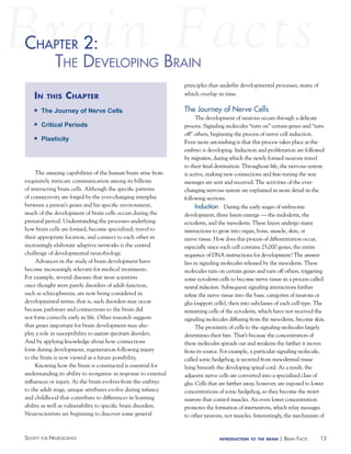 13Society for NeuroScieNce introduction to the brain | BraiN factS
The amazing capabilities of the human brain arise from
exquisitely intricate communication among its billions
of interacting brain cells. Although the specific patterns
of connectivity are forged by the ever-changing interplay
between a person’s genes and his specific environment,
much of the development of brain cells occurs during the
prenatal period. Understanding the processes underlying
how brain cells are formed, become specialized, travel to
their appropriate location, and connect to each other in
increasingly elaborate adaptive networks is the central
challenge of developmental neurobiology.
Advances in the study of brain development have
become increasingly relevant for medical treatments.
For example, several diseases that most scientists
once thought were purely disorders of adult function,
such as schizophrenia, are now being considered in
developmental terms; that is, such disorders may occur
because pathways and connections to the brain did
not form correctly early in life. Other research suggests
that genes important for brain development may also
play a role in susceptibility to autism spectrum disorders.
And by applying knowledge about how connections
form during development, regeneration following injury
to the brain is now viewed as a future possibility.
Knowing how the brain is constructed is essential for
understanding its ability to reorganize in response to external
influences or injury. As the brain evolves from the embryo
to the adult stage, unique attributes evolve during infancy
and childhood that contribute to differences in learning
ability as well as vulnerability to specific brain disorders.
Neuroscientists are beginning to discover some general
principles that underlie developmental processes, many of
which overlap in time.
The Journey of Nerve Cells
The development of neurons occurs through a delicate
process. Signaling molecules “turn on” certain genes and “turn
off” others, beginning the process of nerve cell induction.
Even more astonishing is that this process takes place as the
embryo is developing. Induction and proliferation are followed
by migration, during which the newly formed neurons travel
to their final destination. Throughout life, the nervous system
is active, making new connections and fine-tuning the way
messages are sent and received. The activities of the ever-
changing nervous system are explained in more detail in the
following sections.
Induction During the early stages of embryonic
development, three layers emerge — the endoderm, the
ectoderm, and the mesoderm. These layers undergo many
interactions to grow into organ, bone, muscle, skin, or
nerve tissue. How does this process of differentiation occur,
especially since each cell contains 25,000 genes, the entire
sequence of DNA instructions for development? The answer
lies in signaling molecules released by the mesoderm. These
molecules turn on certain genes and turn off others, triggering
some ectoderm cells to become nerve tissue in a process called
neural induction. Subsequent signaling interactions further
refine the nerve tissue into the basic categories of neurons or
glia (support cells), then into subclasses of each cell type. The
remaining cells of the ectoderm, which have not received the
signaling molecules diffusing from the mesoderm, become skin.
The proximity of cells to the signaling molecules largely
determines their fate. That’s because the concentration of
these molecules spreads out and weakens the farther it moves
from its source. For example, a particular signaling molecule,
called sonic hedgehog, is secreted from mesodermal tissue
lying beneath the developing spinal cord. As a result, the
adjacent nerve cells are converted into a specialized class of
glia. Cells that are farther away, however, are exposed to lower
concentrations of sonic hedgehog, so they become the motor
neurons that control muscles. An even lower concentration
promotes the formation of interneurons, which relay messages
to other neurons, not muscles. Interestingly, the mechanism of
chaPter 2:
the develoPiNg BraiN
in this chapter
n The Journey of Nerve Cells
n Critical Periods
n Plasticity
c ter 2:haP
 