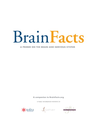 A PRIMER ON THE BRAIN AND NERVOUS SYSTEM
A companion to BrainFacts.org
A PUBLIC INFORMATION INITIATIVE OF:
 