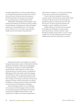 28 Society for NeuroScieNceBraiN factS | sensing, thinking, and behaving
and right temporal lobes. In contrast, speech production
is a strongly left-dominant function that relies on frontal
lobe areas but also involves posterior brain regions in
the left temporal lobe. These appear to be important
for accessing appropriate words and speech sounds.
Although the understanding of how language is both
produced and understood by the brain is far from complete,
several techniques, including genetic studies and imaging
methods, have increasingly been put to use. Through
the use of these tools, we can expect to gain important
insights into this critical aspect of brain function.
During the last decade, novel insights have emerged
through molecular genetic studies of inherited disorders that
impede the development of fluent speech and language.
For example, rare mutations of a gene called FOXP2
impede learning to make sequences of mouth and jaw
movements that are involved in speech, accompanied by
difficulties that affect both spoken and written language.
The FOXP2 gene codes for a special type of protein that
switches other genes on and off in particular parts of the
brain. Changes in the sequence of this gene may have been
important in human evolution. Researchers are studying
the differences in this gene between humans and animals
to learn more about the development of language.
Functional imaging methods, too, have identified
new structures involved in language. Systems involved
in accessing the meaning of words appear to be located
(in part) in the middle and inferior portions of the
temporal lobe. In addition, the anterior temporal lobe is
under intense investigation as a site that may participate
in some aspect of sentence-level comprehension.
Recent work has also identified a sensory-motor
circuit for speech in the left posterior temporal lobe, which
is thought to help the systems for speech recognition
and speech production communicate with each other.
This circuit is involved in speech development and
is thought to support verbal short-term memory.
Equally important is the brain’s role in movement.
For example, part of language is using the muscles
of the mouth and jaw correctly to produce sounds.
Throughout the body, muscles allow us to move in many
complex ways. The next chapter discusses the intricate
interplay between the brain and muscles in our body.
Scientists have learned a
great deal about language
by studying patients
who have lost speech
and language abilities.
 