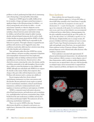 50 Society for NeuroScieNceBraiN factS | diseases and disorders
problems in school, graduating from high school, maintaining
a job, abusing drugs, or having healthy relationships.
Symptoms of ADHD appear by middle childhood, last
for six months or longer, and impair normal functioning to a
significant degree in the following settings: for children — at
school, among friends, and at home; for adults — at work
and at home. Currently, no objective diagnostic test for
ADHD exists. Diagnosis requires a comprehensive evaluation,
including a clinical interview, parent and teacher ratings
for children, and self and other ratings for adults. Learning
disorder and psychological testing may also be used to clarify
if other disorders are present along with the ADHD or if other
conditions that look like ADHD may be responsible for the
behaviors in question. Thorough evaluation is required because
problems with attention can be triggered by many other
conditions; in particular, adults may have attention issues along
with other disorders such as depression.
Twin and family studies show that ADHD has a strong
genetic influence, and genes encoding components of dopamine
and norepinephrine transmission have been implicated.
Increasingly, studies are finding correlations between ADHD
and differences in brain function. Altered activity is often
observed in circuits connecting the cortex, the striatum, and the
cerebellum, particularly in the right hemisphere. Recent studies
show a delay in cortical development in some children with
ADHD, although most individuals with ADHD do not outgrow
the disorder as they mature. Rather, their symptoms often
change as they grow older, with less hyperactivity as adults.
Problems with attention tend to continue into adulthood.
Recent imaging studies have shown reduced
catecholamine transmission in at least some patients with
this disorder. Because prefrontal circuits require an optimal
level of catecholamine stimulation, reduced catecholamine
transmission could lead to weakened prefrontal cortical
regulation of attention and behavior and symptoms of ADHD.
ADHD is commonly treated with parent education,
school-based interventions, and medications such as stimulants
(e.g., methylphenidate) and newer, nonstimulant drugs. Adults
benefit from the same medications as children and may find
some behavioral therapies helpful. The medications all act by
enhancing catecholamine transmission.
There is no cure for ADHD at this time. Treatment
effectiveness should be re-evaluated in each person on a
regular basis to determine if the current treatment continues
to be optimal.
Down Syndrome
Down syndrome, the most frequently occurring
chromosomal condition, appears in 1 of every 691 babies, or
about 6,000 babies annually in the United States. It typically
occurs when, at the time of conception, an extra copy of
chromosome 21 — or part of its long arm — is present in the
egg or, less commonly, in the sperm. It is not known why this
error occurs, and it has not been linked to any environmental
or behavioral factors, either before or during pregnancy, but
the risk is markedly increased with the age of the mother. At
age 25, the risk is about 1 in 1,250 births; at age 40, it is 1 in
100. Because of higher fertility rates in younger women, 80
percent of children with Down syndrome are born to women
under 35 years of age. Prenatal screening tests, such as the
triple and quadruple screen blood tests, can accurately detect
Down syndrome in about 70 percent of fetuses. Definitive
prenatal diagnoses can be obtained with either chorionic villus
sampling or amniocentesis.
Down syndrome is associated with approximately 50
physical and developmental characteristics. An individual with
Down syndrome is likely to possess, to various degrees, some of
these characteristics: mild to moderate intellectual disabilities;
low muscle tone; an upward slant to the eyes; a flat facial profile;
an enlarged tongue; and an increased risk of congenital heart
defects, respiratory problems, and digestive tract obstruction.
Brain-imaging studies show differences in the dyslexic brain during reading
tasks. [Credit: Guinevere eden, DPhil, Georgetown university.]
 