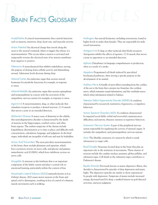 80 Society for NeuroScieNceBraiN factS | glossary
Androgens Sex steroid hormones, including testosterone, found in
higher levels in males than females. They are responsible for male
sexual maturation.
Antagonist 1.) A drug or other molecule that blocks receptors.
Antagonists inhibit the effects of agonists. 2.) A muscle that moves
a joint in opposition to an intended direction.
Aphasia Disturbance in language comprehension or production,
often as a result of a stroke.
Apoptosis Programmed cell death induced by specialized
biochemical pathways, often serving a specific purpose in the
development of an animal.
Auditory Nerve A bundle of nerve fibers extending from the cochlea
of the ear to the brain that contains two branches: the cochlear
nerve, which transmits sound information, and the vestibular nerve,
which relays information related to balance.
Attention Deficit hyperactivity Disorder (ADhD) A condition
characterized by excessively inattentive, hyperactive, or impulsive
behaviors.
Autism Spectrum Disorders (ASD) A condition characterized
by impaired social skills; verbal and nonverbal communication
difficulties; and narrow, obsessive interests or repetitive behaviors.
Autonomic Nervous System A part of the peripheral nervous
system responsible for regulating the activity of internal organs. It
includes the sympathetic and parasympathetic nervous systems.
Axon The fiberlike extension of a neuron by which it sends
information to target cells.
Basal Ganglia Structures located deep in the brain that play an
important role in the initiation of movements. These clusters of
neurons include the caudate nucleus, putamen, globus pallidus, and
substantia nigra. Cell death in the substantia nigra contributes to
Parkinson’s disease.
Bipolar Disorder Previously known as manic-depressive illness, this
disorder is characterized by episodes of deep depression and manic
highs. The depressive episodes are similar to those experienced
by people with depression. Symptoms of mania include increased
energy, decreased need for sleep, a marked interest in goal-directed
activities, and poor judgment.
Acetylcholine A critical neurotransmitter that controls functions
such as memory, attention, sleep, heart rate, and muscular activity.
Action Potential An electrical charge that travels along the
axon to the neuron’s terminal, where it triggers the release of a
neurotransmitter. This occurs when a neuron is activated and
temporarily reverses the electrical state of its interior membrane
from negative to positive.
Adenosine A neurochemical that inhibits wakefulness, serving
the purpose of slowing down cellular activity and diminishing
arousal. Adenosine levels decrease during sleep.
Adrenal Cortex An endocrine organ that secretes steroid
hormones for metabolic functions; for example, in response
to stress.
Adrenal Medulla An endocrine organ that secretes epinephrine
and norepinephrine in concert with the activation of the
sympathetic nervous system; for example, in response to stress.
Agonist 1.) A neurotransmitter, drug, or other molecule that
stimulates receptors to produce a desired reaction. 2.) A muscle
that moves a joint in an intended direction.
Alzheimer’s Disease A major cause of dementia in the elderly,
this neurodegenerative disorder is characterized by the death
of neurons in the hippocampus, cerebral cortex, and other
brain regions. The earliest symptoms of the disease include
forgetfulness; disorientation as to time or place; and difficulty with
concentration, calculation, language, and judgment. In the final
stages, individuals are incapable of self-care and may be bedridden.
Amino Acid Transmitters The most prevalent neurotransmitters
in the brain, these include glutamate and aspartate, which
have excitatory actions on nerve cells, and glycine and gamma-
aminobutyric acid (GABA), which have inhibitory actions on
nerve cells.
Amygdala A structure in the forebrain that is an important
component of the limbic system and plays a central role in
emotional learning, particularly within the context of fear.
Amyotrophic Lateral Sclerosis (ALS) Commonly known as Lou
Gehrig’s disease, ALS causes motor neurons in the brain and
spinal cord to disintegrate, resulting in loss of control of voluntary
muscle movements such as walking.
BraiN factS gloSSaryBrai fact loSSarygraiN
 