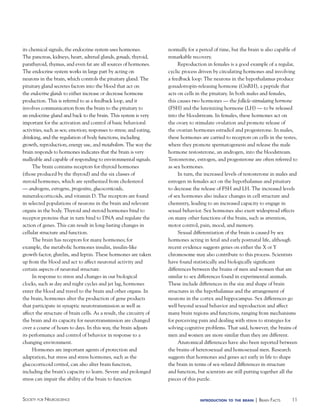 its chemical signals, the endocrine system uses hormones.
The pancreas, kidneys, heart, adrenal glands, gonads, thyroid,
parathyroid, thymus, and even fat are all sources of hormones.
The endocrine system works in large part by acting on
neurons in the brain, which controls the pituitary gland. The
pituitary gland secretes factors into the blood that act on
the endocrine glands to either increase or decrease hormone
production. This is referred to as a feedback loop, and it
involves communication from the brain to the pituitary to
an endocrine gland and back to the brain. This system is very
important for the activation and control of basic behavioral
activities, such as sex; emotion; responses to stress; and eating,
drinking, and the regulation of body functions, including
growth, reproduction, energy use, and metabolism. The way the
brain responds to hormones indicates that the brain is very
malleable and capable of responding to environmental signals.
The brain contains receptors for thyroid hormones
(those produced by the thyroid) and the six classes of
steroid hormones, which are synthesized from cholesterol
— androgens, estrogens, progestins, glucocorticoids,
mineralocorticoids, and vitamin D. The receptors are found
in selected populations of neurons in the brain and relevant
organs in the body. Thyroid and steroid hormones bind to
receptor proteins that in turn bind to DNA and regulate the
action of genes. This can result in long-lasting changes in
cellular structure and function.
The brain has receptors for many hormones; for
example, the metabolic hormones insulin, insulin-like
growth factor, ghrelin, and leptin. These hormones are taken
up from the blood and act to affect neuronal activity and
certain aspects of neuronal structure.
In response to stress and changes in our biological
clocks, such as day and night cycles and jet lag, hormones
enter the blood and travel to the brain and other organs. In
the brain, hormones alter the production of gene products
that participate in synaptic neurotransmission as well as
affect the structure of brain cells. As a result, the circuitry of
the brain and its capacity for neurotransmission are changed
over a course of hours to days. In this way, the brain adjusts
its performance and control of behavior in response to a
changing environment.
Hormones are important agents of protection and
adaptation, but stress and stress hormones, such as the
glucocorticoid cortisol, can also alter brain function,
including the brain’s capacity to learn. Severe and prolonged
stress can impair the ability of the brain to function

Society for NeuroScieNce

normally for a period of time, but the brain is also capable of
remarkable recovery.
Reproduction in females is a good example of a regular,
cyclic process driven by circulating hormones and involving
a feedback loop: The neurons in the hypothalamus produce
gonadotropin-releasing hormone (GnRH), a peptide that
acts on cells in the pituitary. In both males and females,
this causes two hormones — the follicle-stimulating hormone
(FSH) and the luteinizing hormone (LH) — to be released
into the bloodstream. In females, these hormones act on
the ovary to stimulate ovulation and promote release of
the ovarian hormones estradiol and progesterone. In males,
these hormones are carried to receptors on cells in the testes,
where they promote spermatogenesis and release the male
hormone testosterone, an androgen, into the bloodstream.
Testosterone, estrogen, and progesterone are often referred to
as sex hormones.
In turn, the increased levels of testosterone in males and
estrogen in females act on the hypothalamus and pituitary
to decrease the release of FSH and LH. The increased levels
of sex hormones also induce changes in cell structure and
chemistry, leading to an increased capacity to engage in
sexual behavior. Sex hormones also exert widespread effects
on many other functions of the brain, such as attention,
motor control, pain, mood, and memory.
Sexual differentiation of the brain is caused by sex
hormones acting in fetal and early postnatal life, although
recent evidence suggests genes on either the X or Y
chromosome may also contribute to this process. Scientists
have found statistically and biologically significant
differences between the brains of men and women that are
similar to sex differences found in experimental animals.
These include differences in the size and shape of brain
structures in the hypothalamus and the arrangement of
neurons in the cortex and hippocampus. Sex differences go
well beyond sexual behavior and reproduction and affect
many brain regions and functions, ranging from mechanisms
for perceiving pain and dealing with stress to strategies for
solving cognitive problems. That said, however, the brains of
men and women are more similar than they are different.
Anatomical differences have also been reported between
the brains of heterosexual and homosexual men. Research
suggests that hormones and genes act early in life to shape
the brain in terms of sex-related differences in structure
and function, but scientists are still putting together all the
pieces of this puzzle.

introduction to the brain

| BraiN factS

11

 