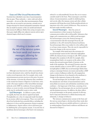 Gases and Other unusual Neurotransmitters
Scientists have identified a new class of neurotransmitters
that are gases. These molecules — nitric oxide and carbon
monoxide — do not act like other neurotransmitters. Being
gases, they are not stored in any structure, certainly not in
storage structures for classical and peptide transmitters. Instead,
they are made by enzymes as they are needed and released
from neurons by diffusion. Rather than acting at receptor sites,
these gases simply diffuse into adjacent neurons and act upon
chemical targets, which may be enzymes.

Working in tandem with
the rest of the nervous system,
the brain sends and receives
messages, allowing for
ongoing communication.

Although exact functions for carbon monoxide have
not been determined, nitric oxide has already been shown
to play several important roles. For example, nitric oxide
neurotransmission governs erection in the penis. In nerves
of the intestine, it governs the relaxation that contributes
to the normal movements of digestion. In the brain, nitric
oxide is the major regulator of the intracellular messenger
molecule cyclic GMP. In conditions of excess glutamate
release, as occurs in stroke, neuronal damage following the
stroke may be attributable in part to nitric oxide.
Lipid Messengers In addition to gases, which
act rapidly, the brain also derives signals from lipids.
Prostaglandins are a class of compounds made from lipids
by an enzyme called cyclooxygenase. These very small and
short-lived molecules have powerful effects, including the
induction of a fever and the generation of pain in response
to inflammation. Aspirin reduces a fever and lowers pain
by inhibiting the cyclooxygenase enzyme. A second class of
membrane-derived messenger is the brain’s own marijuana,

12

BraiN factS | introduction

to the brain

referred to as endocannabinoids, because they are in essence
cannabis made by the brain. These messengers control the
release of neurotransmitters, usually by inhibiting them,
and can also affect the immune system and other cellular
parameters still being discovered. Endocannabinoids play an
important role in the control of behaviors. They increase in
the brain under stressful conditions.
Second Messengers After the action of
neurotransmitters at their receptors, biochemical
communication within cells is still possible. Substances that
trigger such communication are called second messengers.
Second messengers convey the chemical message of
a neurotransmitter (the first messenger) from the cell
membrane to the cell’s internal biochemical machinery.
Second messenger effects may endure for a few milliseconds
to as long as many minutes. They also may be responsible for
long-term changes in the nervous system.
An example of the initial step in the activation of a
second messenger system involves adenosine triphosphate
(ATP), the chemical source of energy in cells. ATP is present
throughout the cytoplasm of all cells. For example, when
norepinephrine binds to its receptors on the surface of the
neuron, the activated receptor binds a G protein on the
inside of the membrane. The activated G protein causes the
enzyme adenylyl cyclase to convert ATP to cyclic adenosine
monophosphate (cAMP), the second messenger. Rather than
acting as a messenger between one neuron and another, cAMP
exerts a variety of influences within the cell, ranging from
changes in the function of ion channels in the membrane to
changes in the expression of genes in the nucleus.
Second messengers also are thought to play a role in
the manufacture and release of neurotransmitters and in
intracellular movements and carbohydrate metabolism in the
cerebrum — the largest part of the brain, consisting of two
hemispheres. Second messengers also are involved in growth
and development processes. In addition, the direct effects
of second messengers on the genetic material of cells may
lead to long-term alterations in cellular functioning and,
ultimately, to changes in behavior.
The intricate communication systems in the brain and
the nervous system begin to develop about three weeks after
gestation. How this process unfolds and how it is relevant to
an understanding of brain-based conditions and illnesses are
discussed in Chapter 2.

Society for NeuroScieNce

 